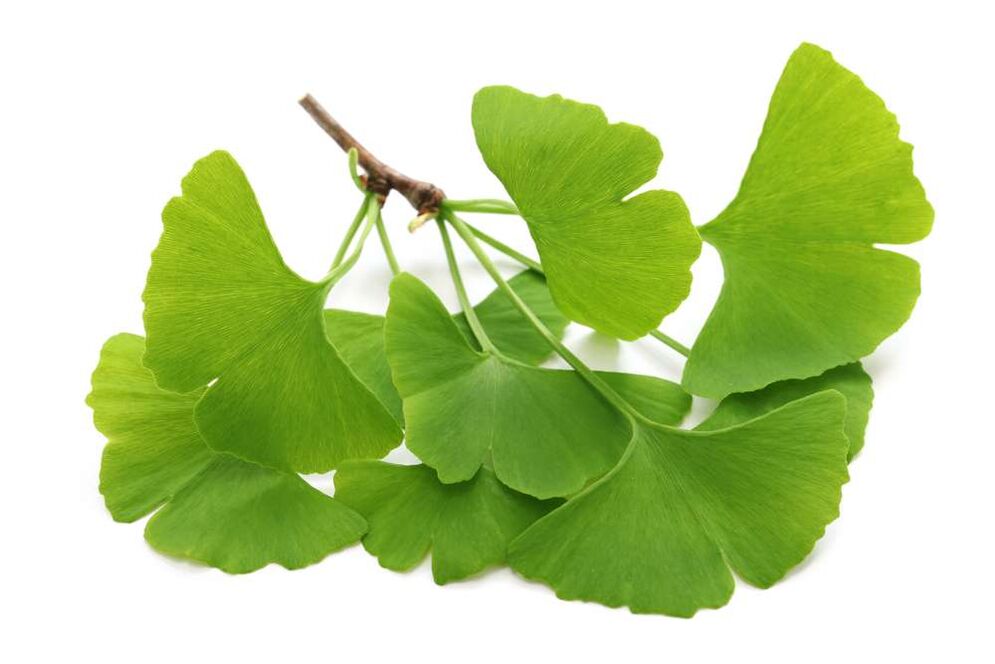 Ginkgo biloba en gélules Glucoren